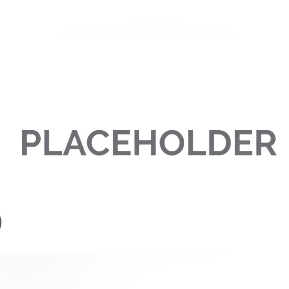 Placeholder for future item